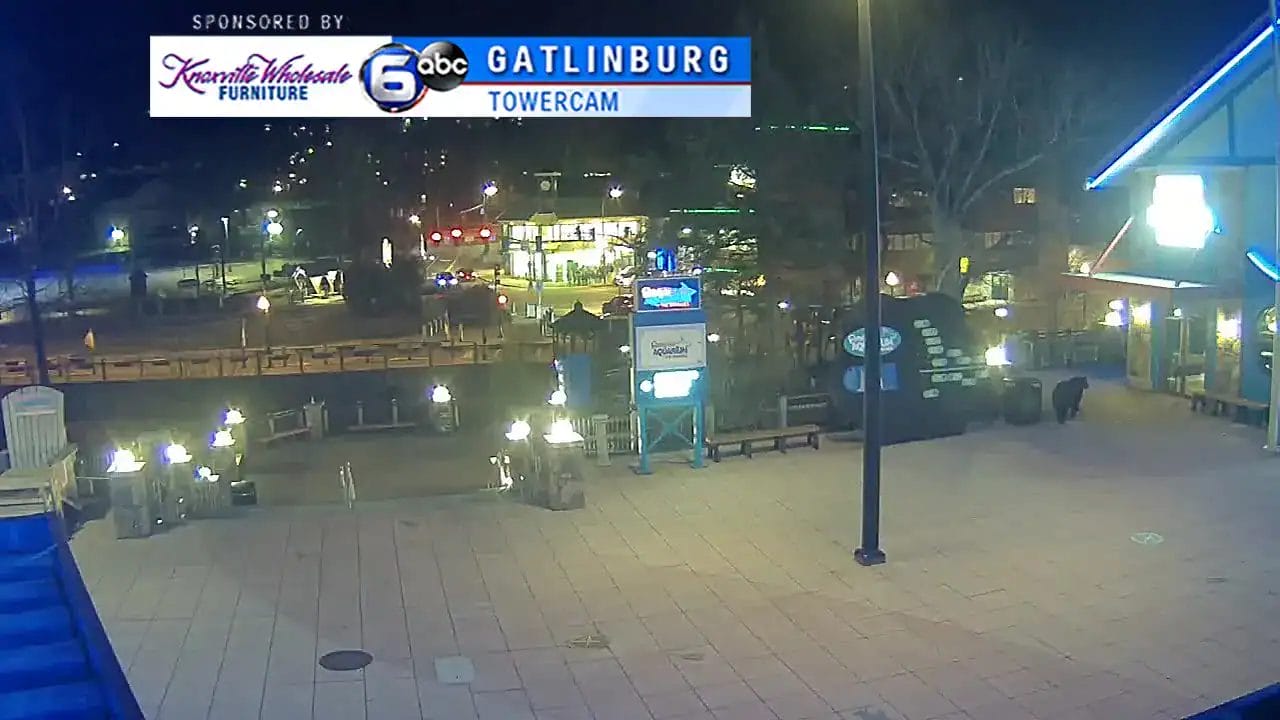 Night view of Smoky Fans social area at Gatlinburg, illuminated with vibrant lights and outdoor seating.